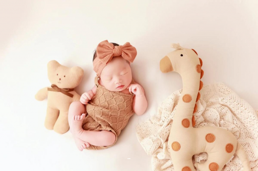 沙洋宝宝虾的做法 沙洋宝宝虾的做法